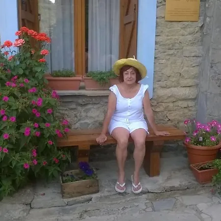 L'estudi *